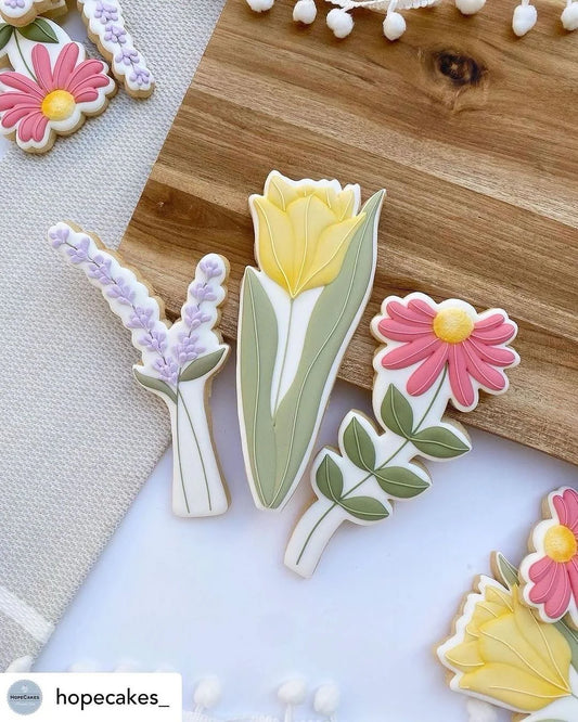 STL - Long Stem Daisy