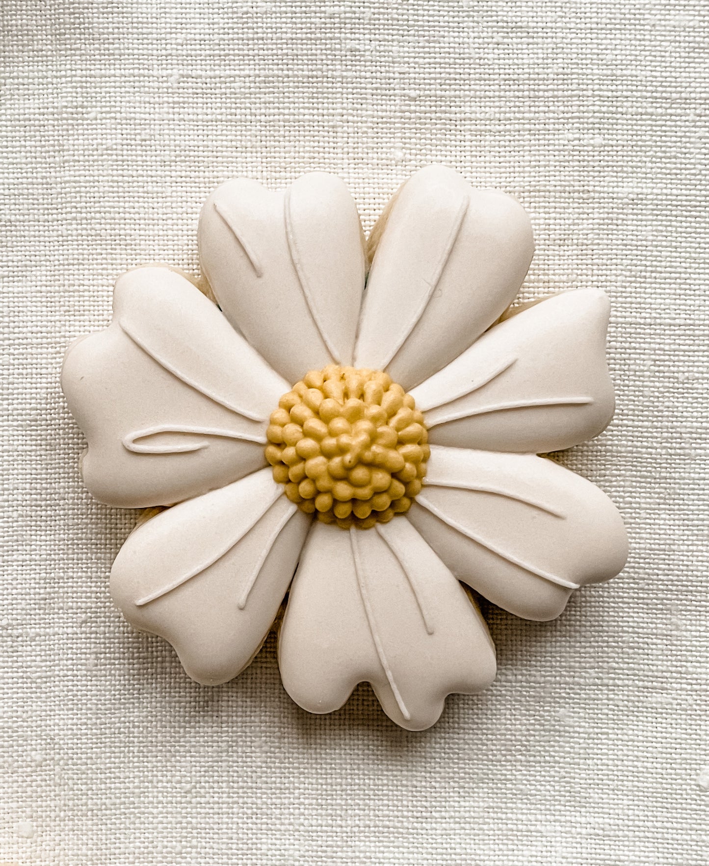 The Classic Daisy Collection - Daisy Mini