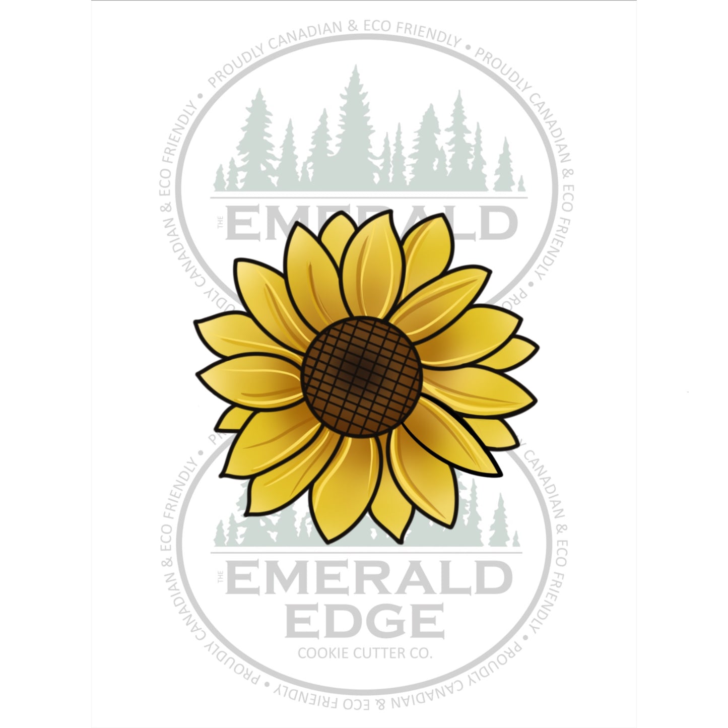 Realistic Sunflower Bloom