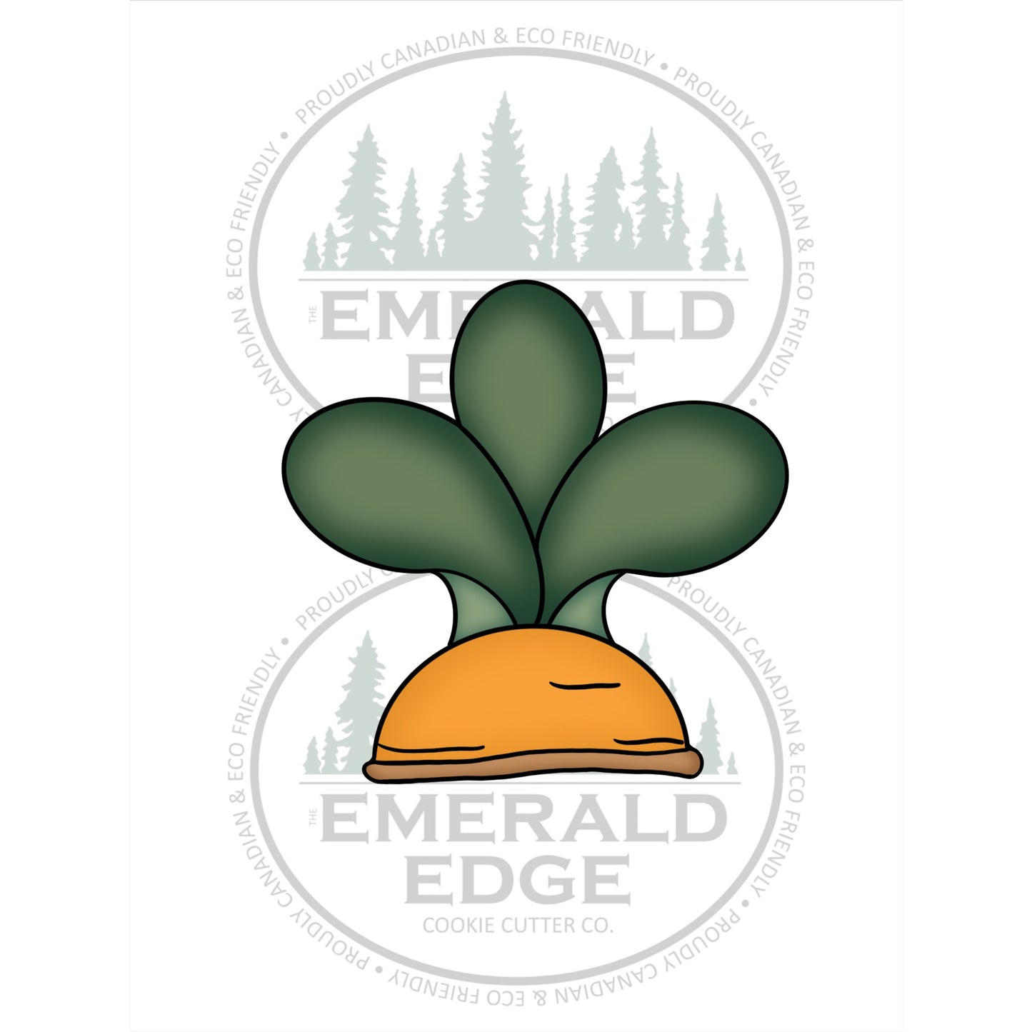 Carrot Top with Greens