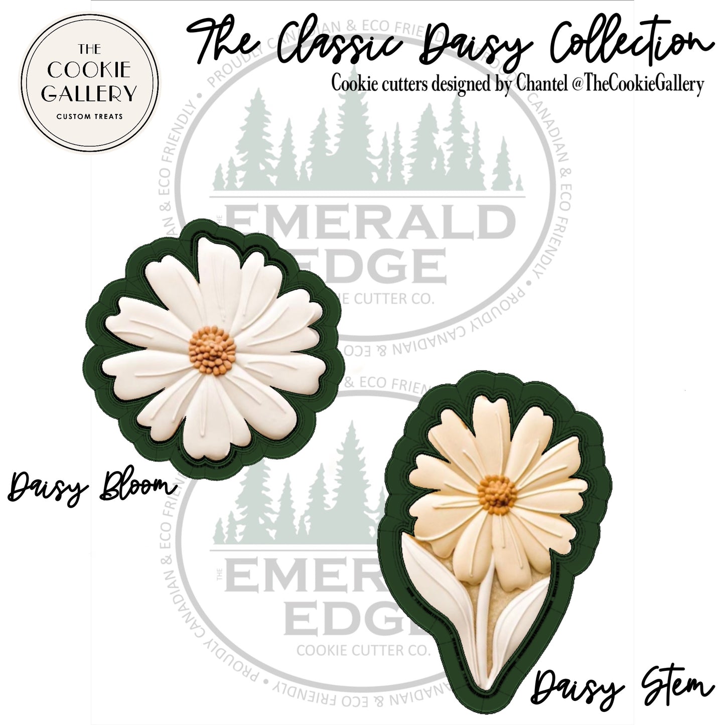 The Classic Daisy Collection -  Daisy Stem