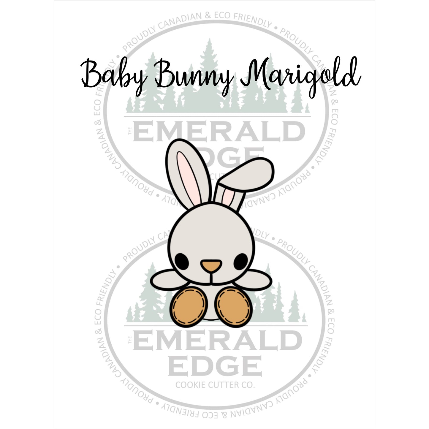 Baby Bunny Marigold