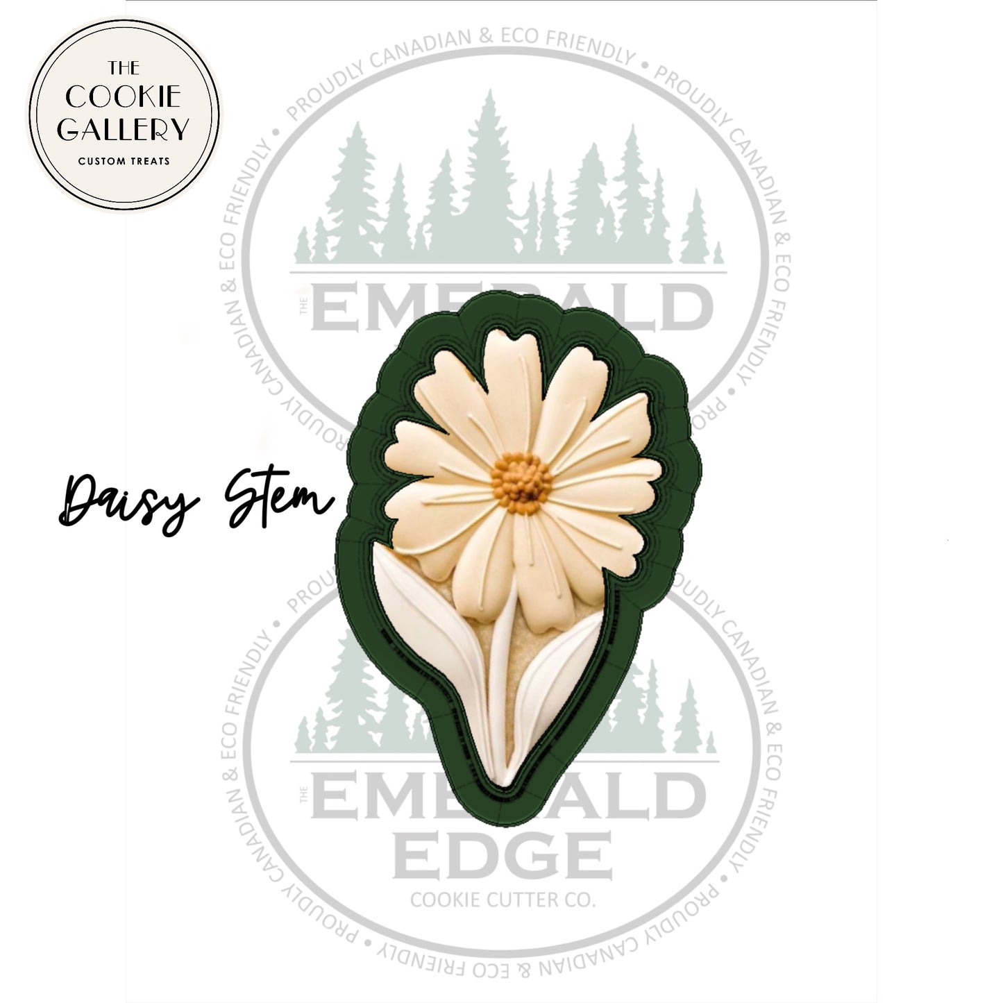 The Classic Daisy Collection -  Daisy Stem
