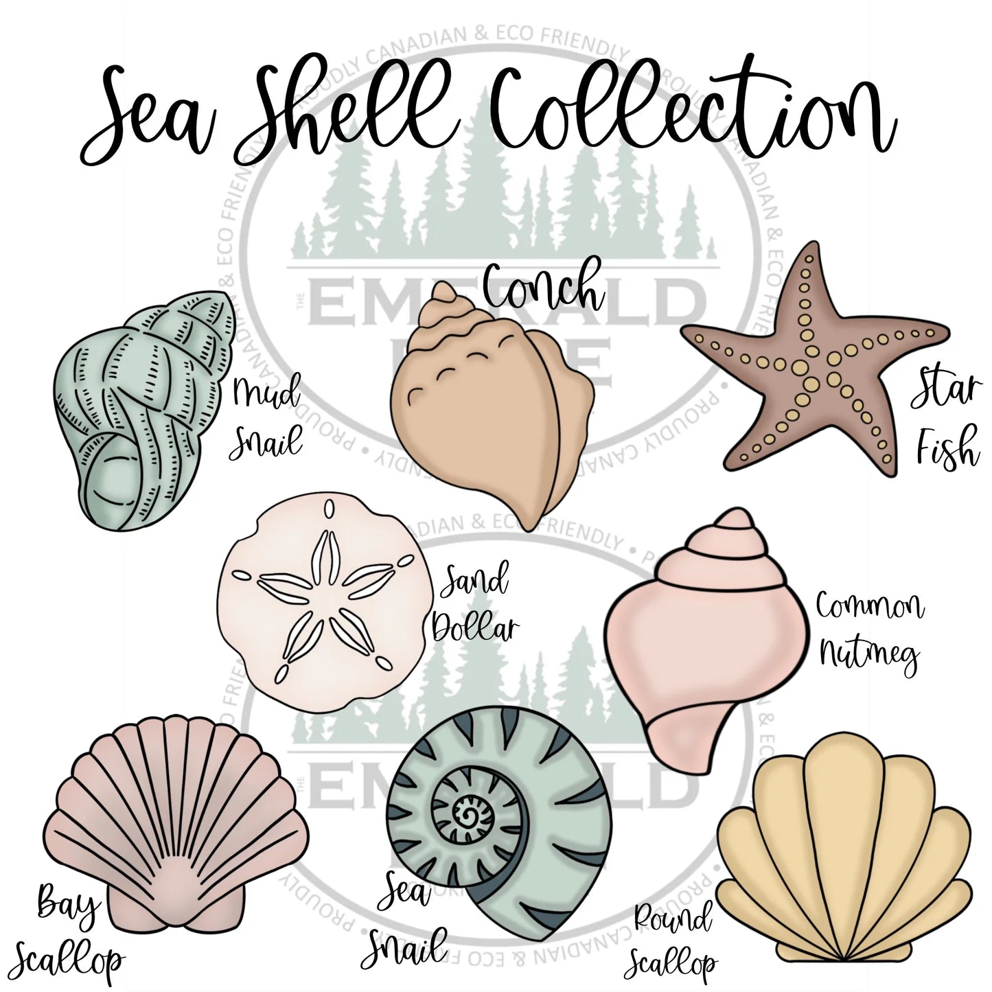 STL - Sea Shell Collection