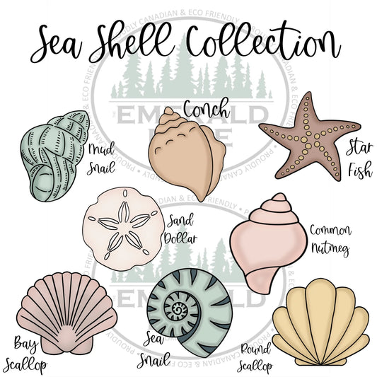 STL - Sea Shell Collection